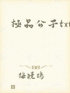 极品公子txt