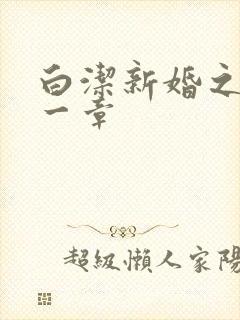 白洁新婚之夜第一章