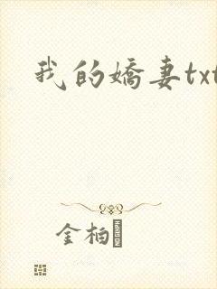 我的娇妻txt