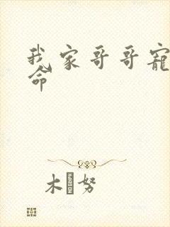 我家哥哥宠妹如命封面