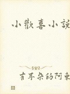 小欢喜小说