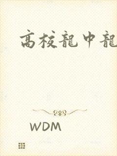 高校龙中龙封面