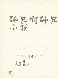 师兄啊师兄原著小说封面