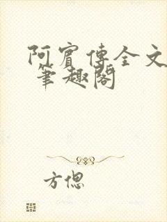 阿宾传全文阅读 笔趣阁