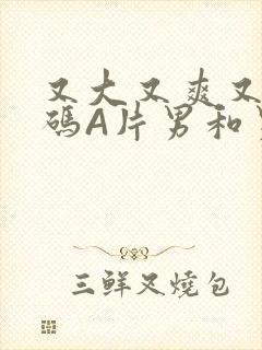 又大又爽又黄无码A片男和男