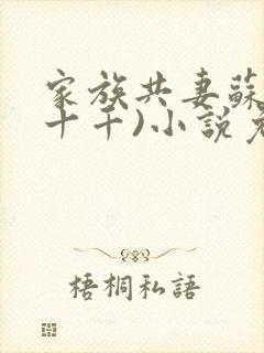 家族共妻苏苏(十千)小说免费