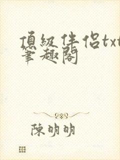 顶级伴侣txt笔趣阁封面