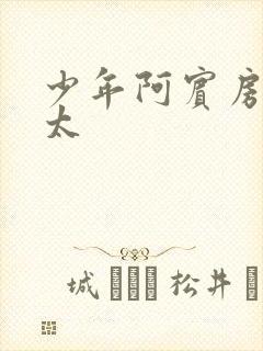 少年阿宾房东太太