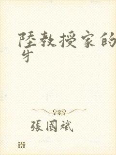 陆教授家的小月牙