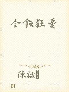 全蚀狂爱封面