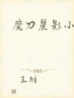 魔刀丽影小说