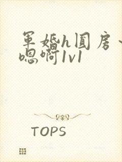 军婚h圆房～h嗯啊1v1封面