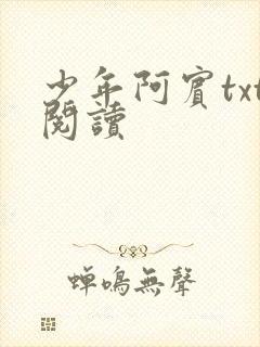 少年阿宾txt阅读封面