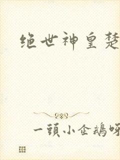 绝世神皇楚风封面