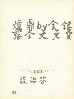 炉鼎by金银花露全文免费阅读笔趣阁