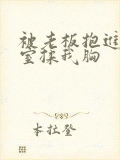 被老板抱进办公室揉我胸