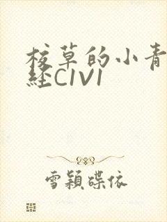 校草的小青梅不经C1V1