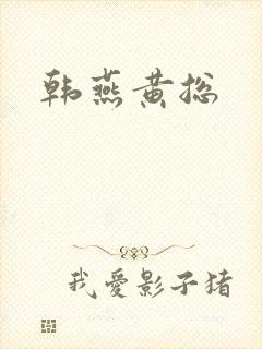 韩燕黄总封面