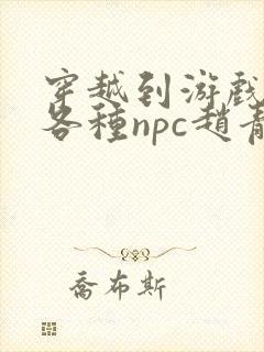 穿越到游戏里和各种npc赵青蔓封面