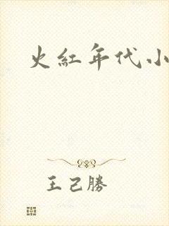 火红年代小说