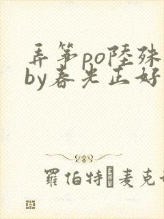 弄筝po陆殊词by春光正好
