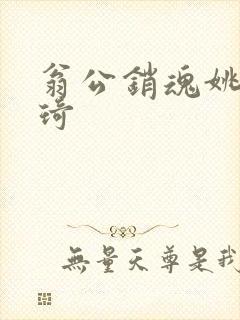 翁公销魂姚瑶琦琦封面