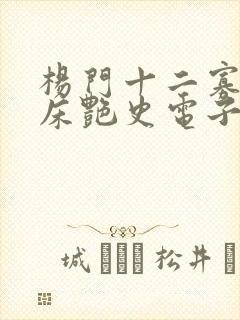 杨门十二寡妇肉床艳史电子书