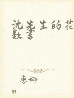 沈先生的花式调数书封面