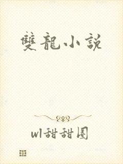 双龙小说