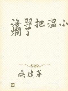 洛羿把温小辉做烂了封面