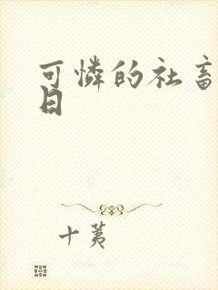 可怜的社畜东度日