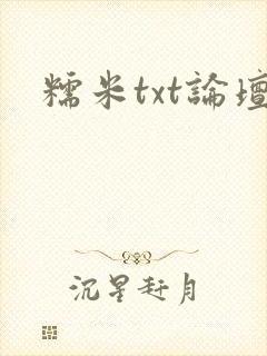 糯米txt论坛封面