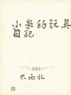 小米的玩具羞辱日记