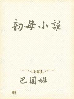 韵母小说