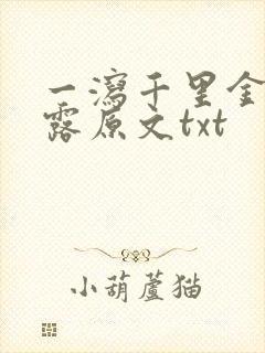 一泻千里金银花露原文txt