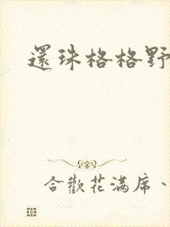 还珠格格野传封面