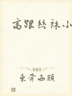 高跟丝袜小说