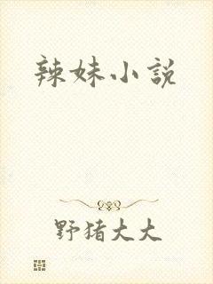 辣妹小说