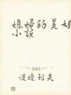 媳妇的美好时代小说