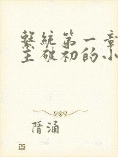 系统第一章给宿主破初的小说