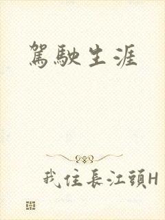 驾驶生涯