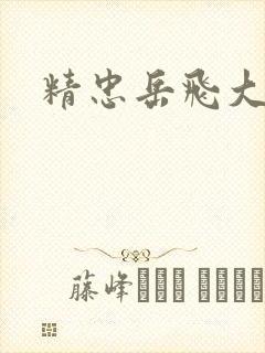 精忠岳飞大结局封面