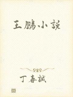 王鹏小说