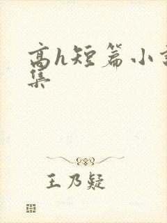高h短篇小说合集封面