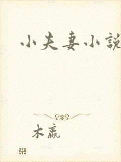 小夫妻小说