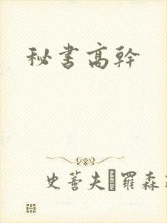秘书高干封面