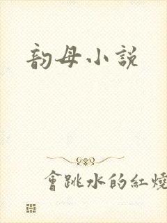 韵母小说