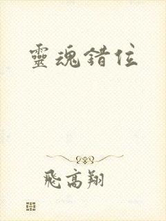 灵魂错位封面