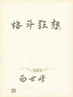 格斗狂想封面