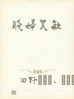 贱妇吴敏封面